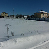Купить земельный участок Московская обл, Солнечногорский р-н, деревня Козино, снт Солнышко 