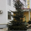 Купить квартиру Московская обл, Солнечногорский р-н, г Солнечногорск, ул Рабочая, д 9 